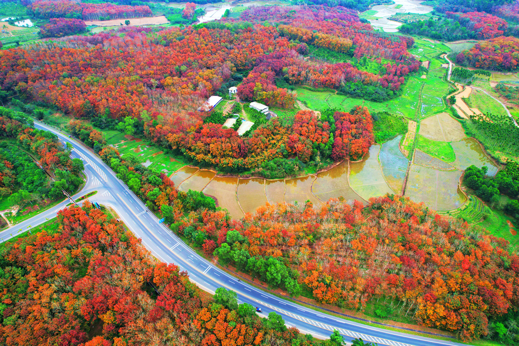 5a9aa17054e01b62797d7ec17e6d2d83
